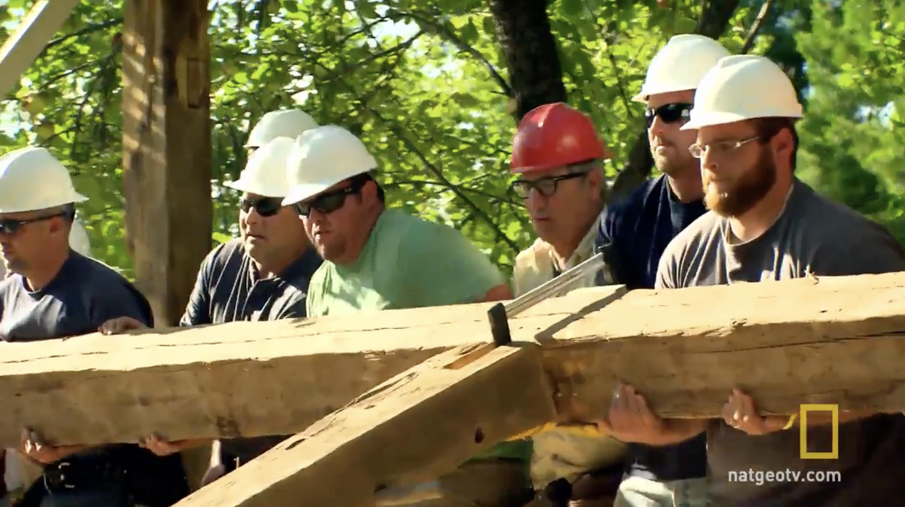 Building Wild — National Geographic